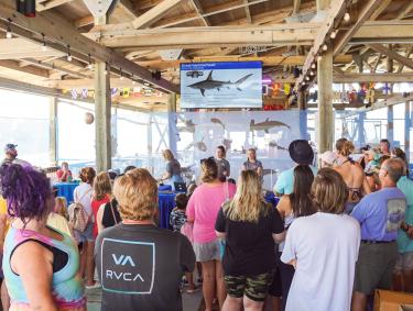 Gulf State Park Shark Week