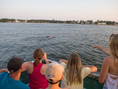 Dolphin Cruise Orange Beach