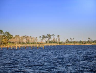 Lake Shelby Gulf State Park