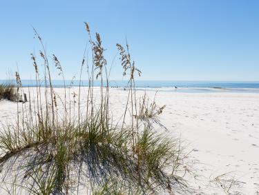 gulf Shores Beach