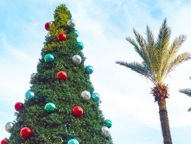 The Wharf Christmas Tree Orange Beach