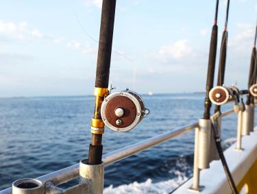 Fishing Rod