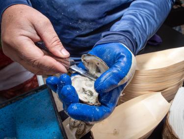 Raw Oyster