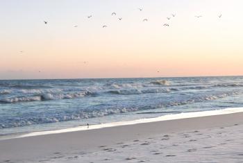 Gulf Shores Beach Sunset