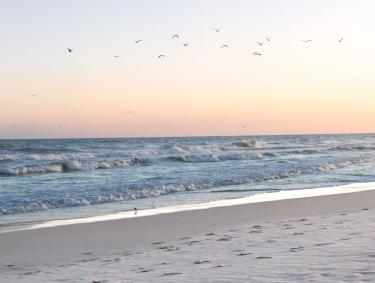 Gulf Shores Beach Sunset