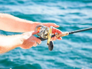 Fishing Gulf Shores
