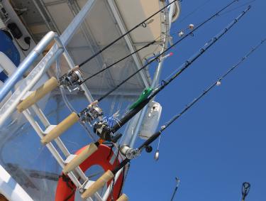 Fishing Charter Orange Beach