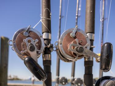 Fishing Rods Orange Beach