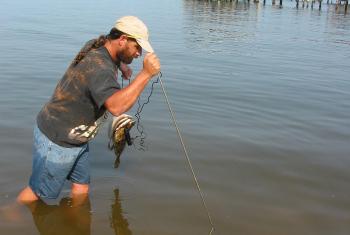 Jubilee Fishing Phenomenon Mobile Bay