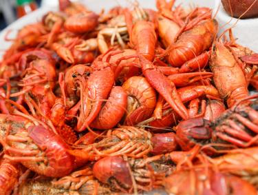 Fresh crawfish boil in Gulf Shores, Alabama