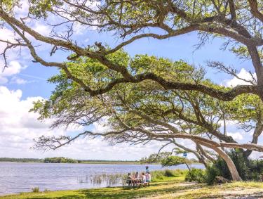 Scenic view of Lake Shelby in Gulf State Park