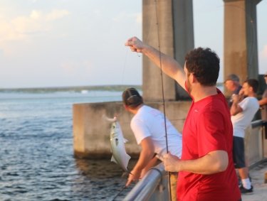 shore fishing at the Perdido Pass Bridge in Orange Beach