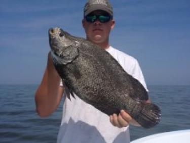 tripletail Orange Beach Al