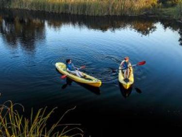 Kayaking Gulf Shores Al