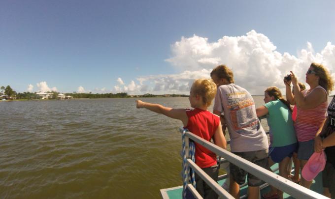 dolphin gulf shores orange beach cruises cruise tours choice offer