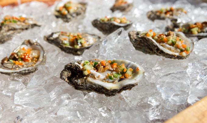 Oysters on  ice at the Oyster Cook Off Gulf Shores AL