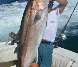 Man holds large amberjack fish