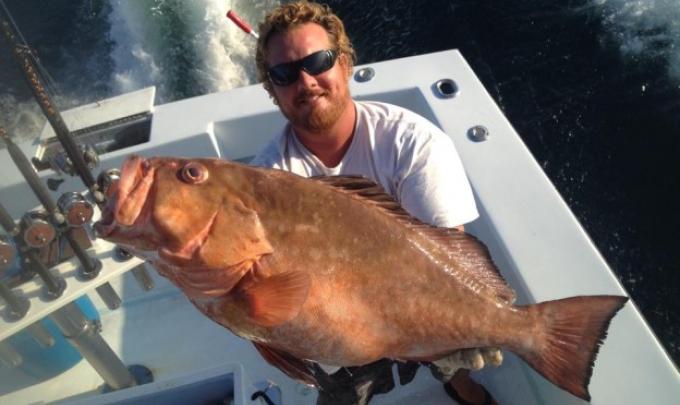 Man holding large grouper