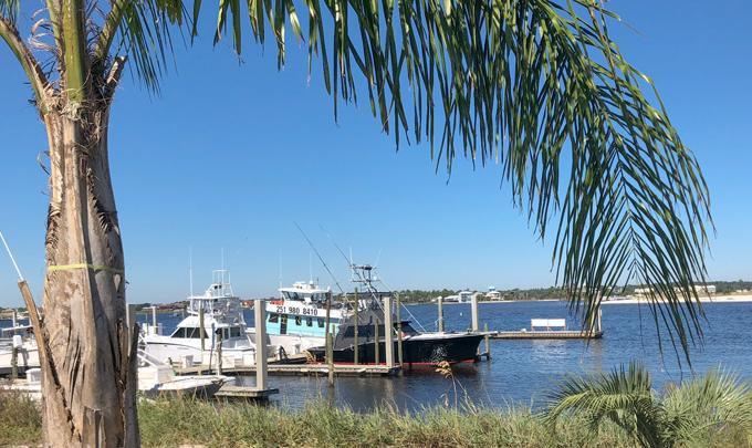 Boat Dock