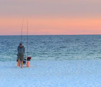 Surf Fishing in Gulf Shores