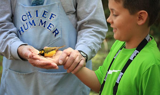 bird banding Gulf Shores