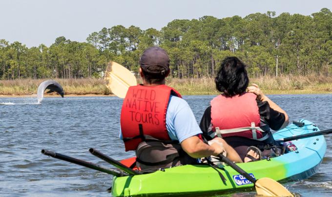 WildNative Tours