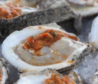 oysters, gulf shore