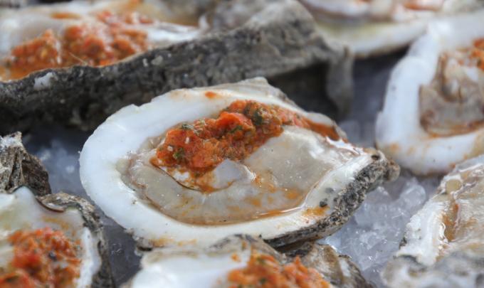 oysters, gulf shore