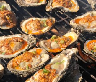 oyster cook off, gulf shores