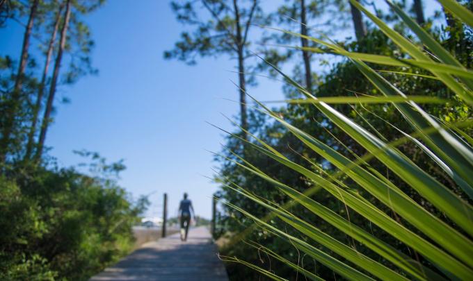 Path to the water in Orange Beach, AL
