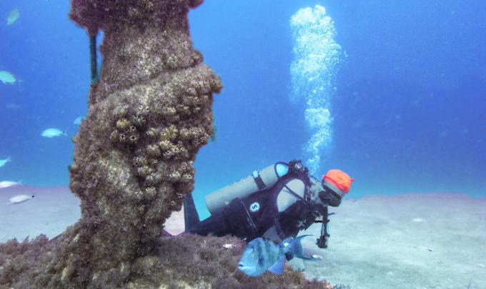 Scuba diver at Poseidon's Playground in Orange Beach, AL