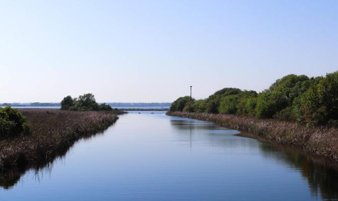 Backcountry Trail Gulf Shores, AL