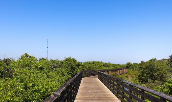 Hugh S. Branyon Backcountry Trail in Gulf Shores, AL