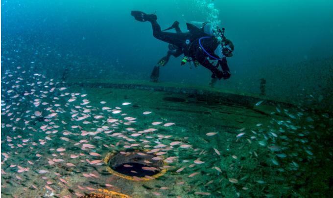 Diver at the Capt. Shirley Brown