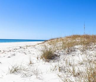 Sand dunes protecting Alabama's beaches
