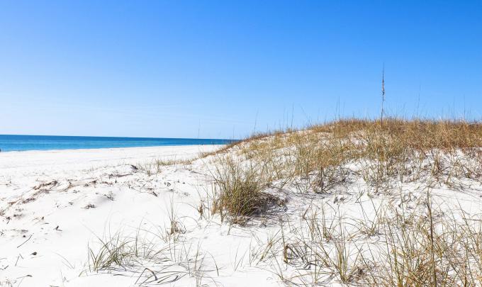 Sand dunes protecting Alabama's beaches