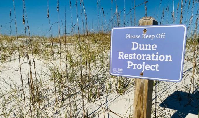 Dune restoration on Alabama's beaches