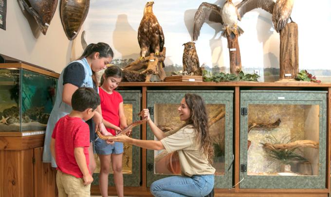 Gulf State Park Nature Center