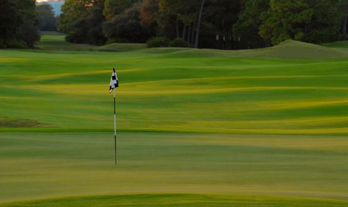 Golfing Gulf Shores