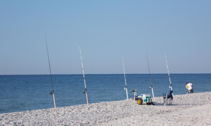 Surf Fishing Gulf Shores