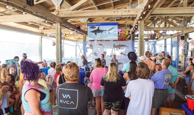 Gulf State Park Shark Week