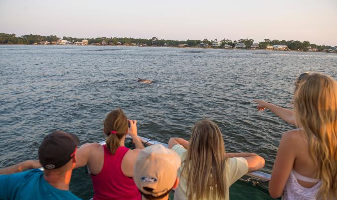 Dolphin Cruise Orange Beach