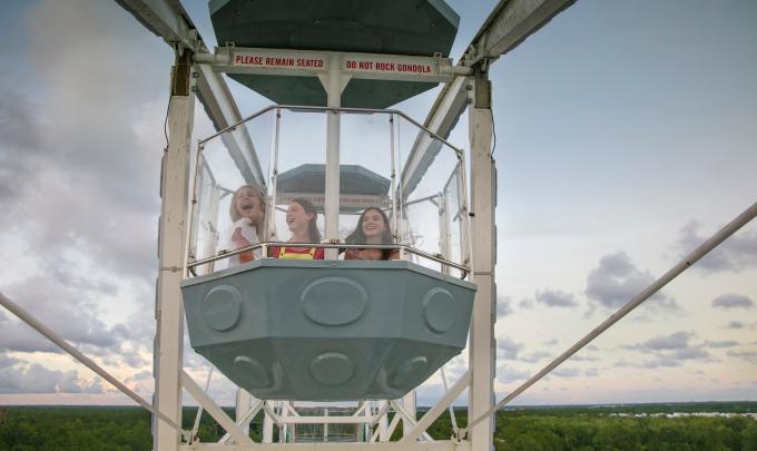 The Wharf Ferris wheel