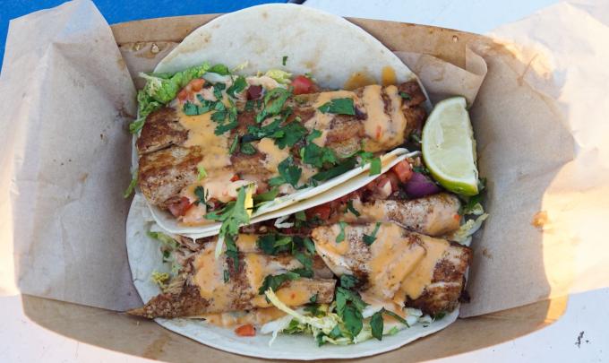 The Gulf Mahi Mahi Tacos