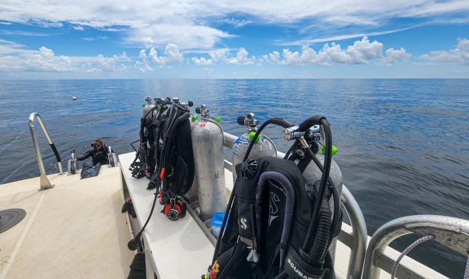 Diving in Gulf Shores