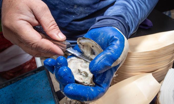 Raw Oyster