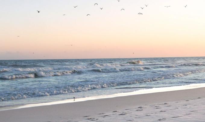 Gulf Shores Beach Sunset