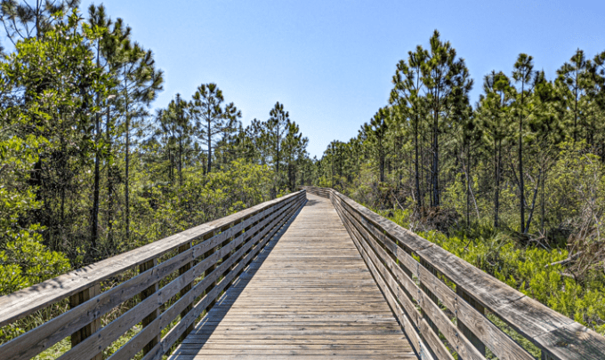 Back Country Trail