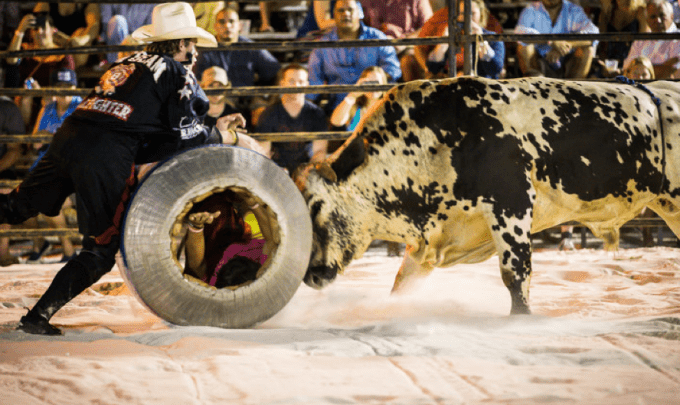 Cowboy and bull at Flora-Bama Bulls on the Beach rodeo