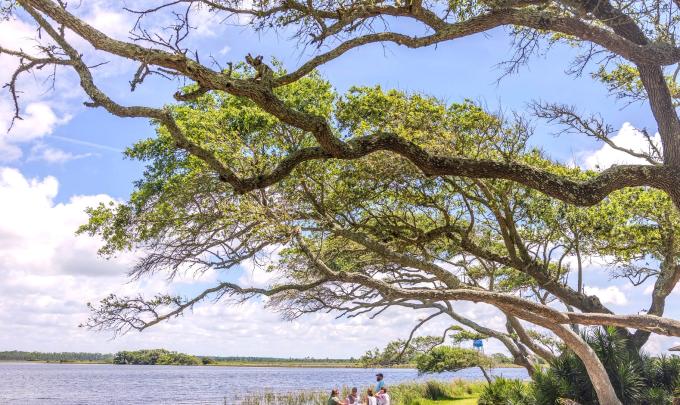 Scenic view of Lake Shelby in Gulf State Park